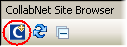 "Add CollabNet site icon"