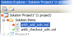 Modified item in the Solution Explorer